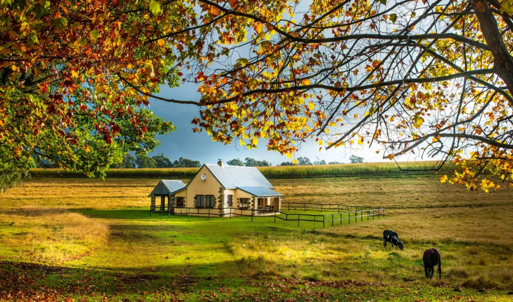 A rustic cottage amidst an autumn landscape with grazing horses.