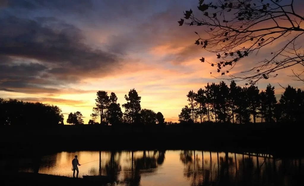 A lone fisherman by a tranquil pond at sunset, with silhouetted trees against a colorful sky.